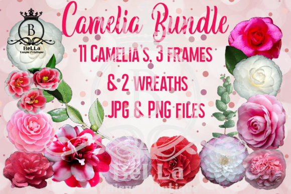 Camelia Bundle & Crafts