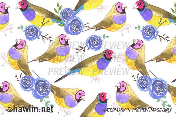 Gouldian Finches and Roses Patterns
