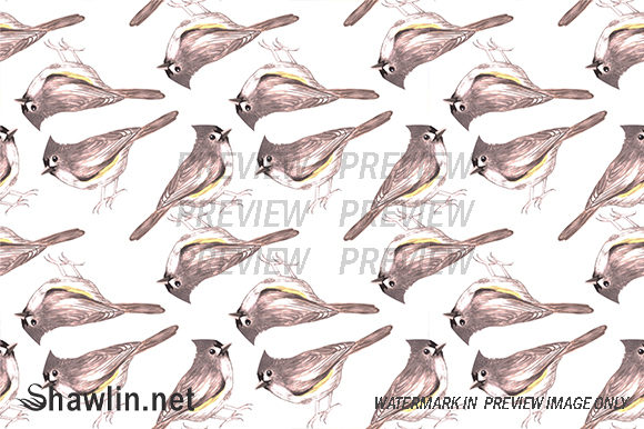 Tufted Titmouse Bird Patterns